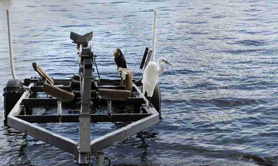 10 Risks Of Buying A Used Jet Ski / Pwc Trailer 4 Old Jet Ski Trailer Used